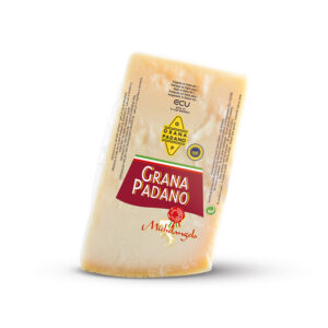 GRANA PADANO AOP 10 MOIS POINTE 1KG