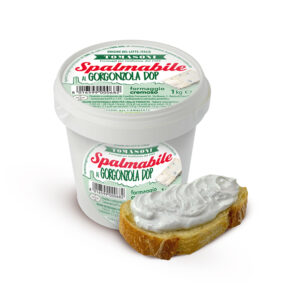 TARTINABLE AU GORGONZOLA AOP SEAU 1KG