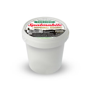 TARTINABLE AU PARMIGIANO REGGIANO SEAU 1KG