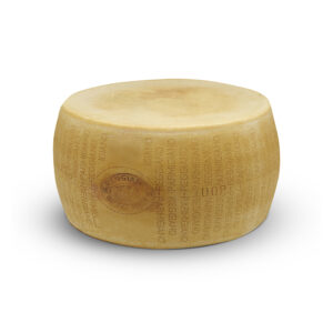 PARMIGIANO REGGIANO 12 MOIS AOP MEULE 36KG