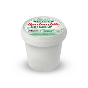 TARTINABLE AU GORGONZOLA AOP SEAU 1KG